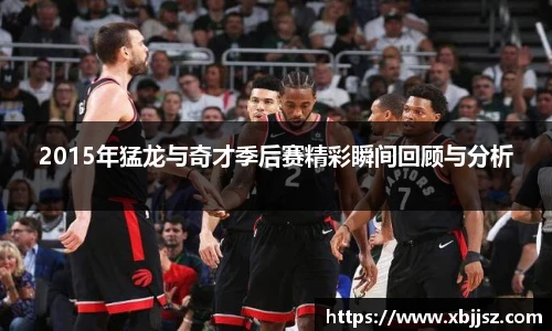 2015年猛龙与奇才季后赛精彩瞬间回顾与分析