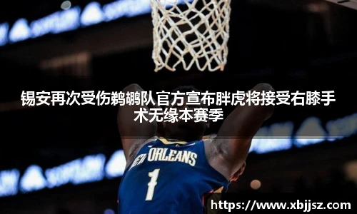 新利体育官网
